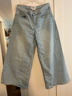 BDG Joey Light Wash Wide-Leg Crop Jeans